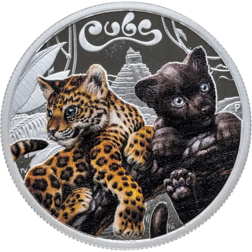 Тувалу 50 центов (cents) 2016  Детёныши - Ягуар, в футляре с сертификатом