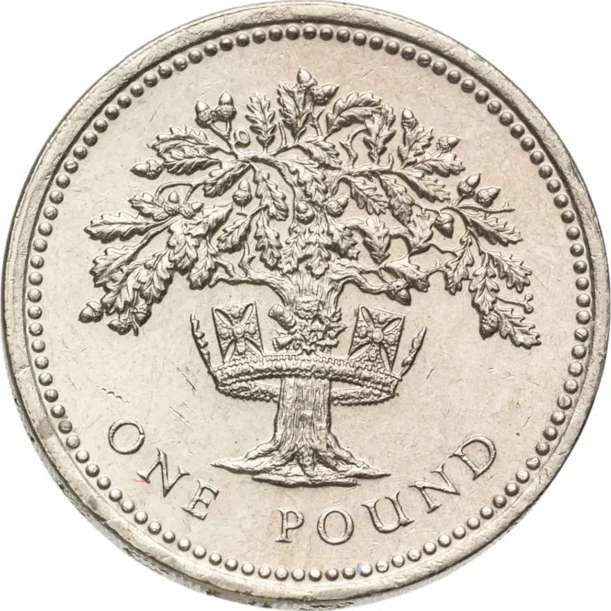 Великобритания 1 фунт (pound) 1987