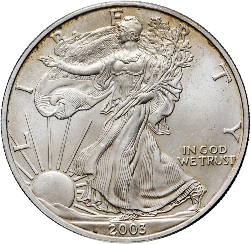 1 доллар 2003 США "Шагающая свобода"