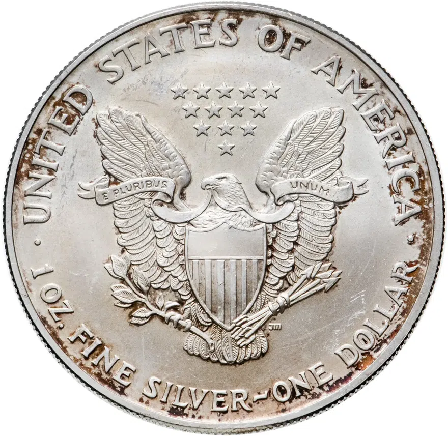 1 доллар 2003 США "Шагающая свобода", реверс