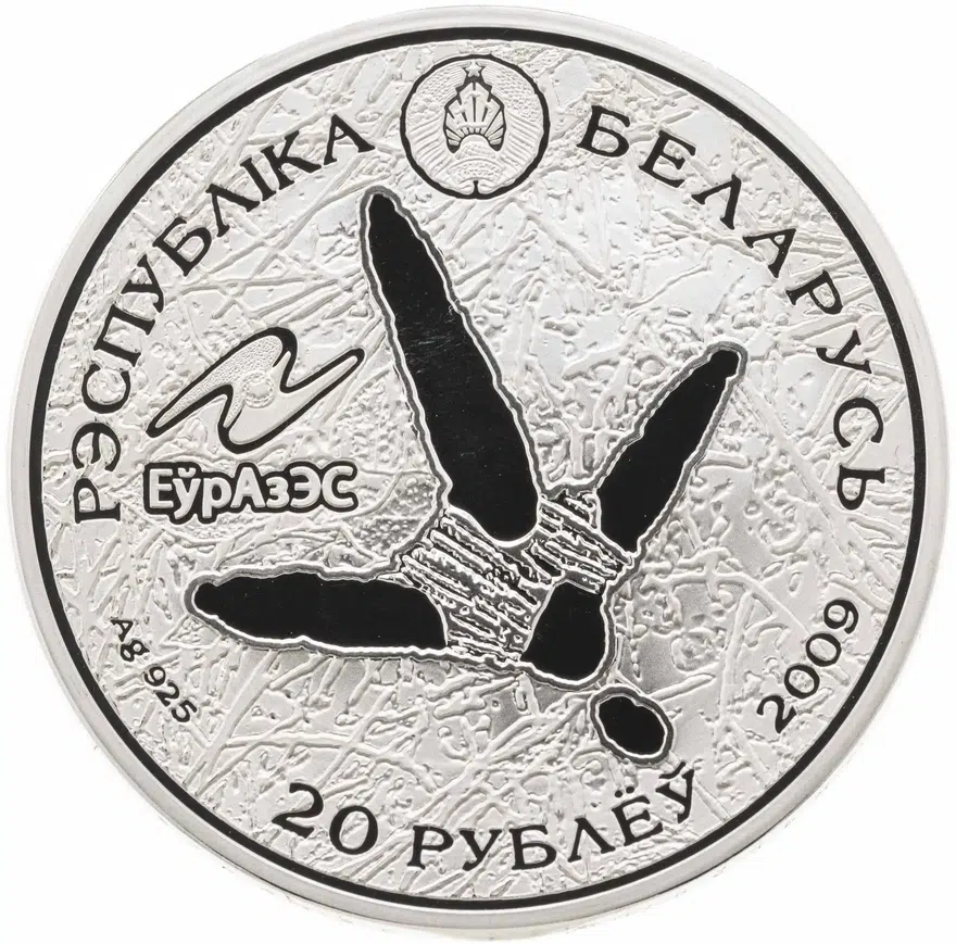 Республика Беларусь 20 рублей 2009 "Животный мир стран ЕврАзЭС - Белый аист", реверс