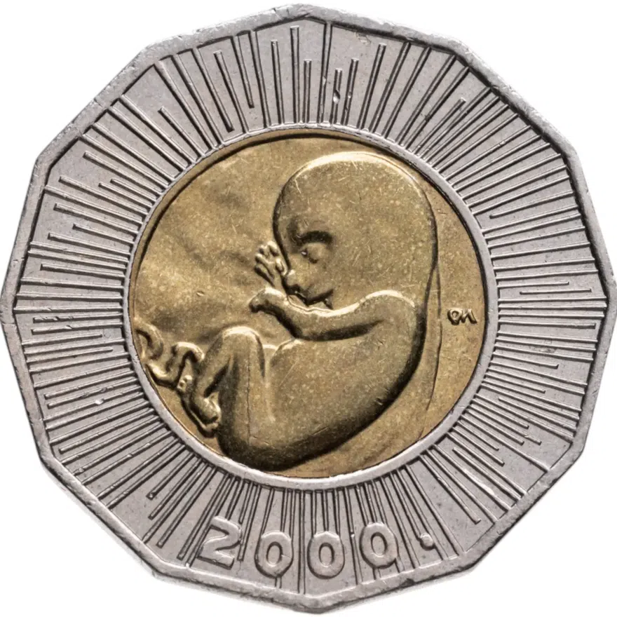Хорватия 25 кун (kuna) 2000  Рождение нового тысячелетия