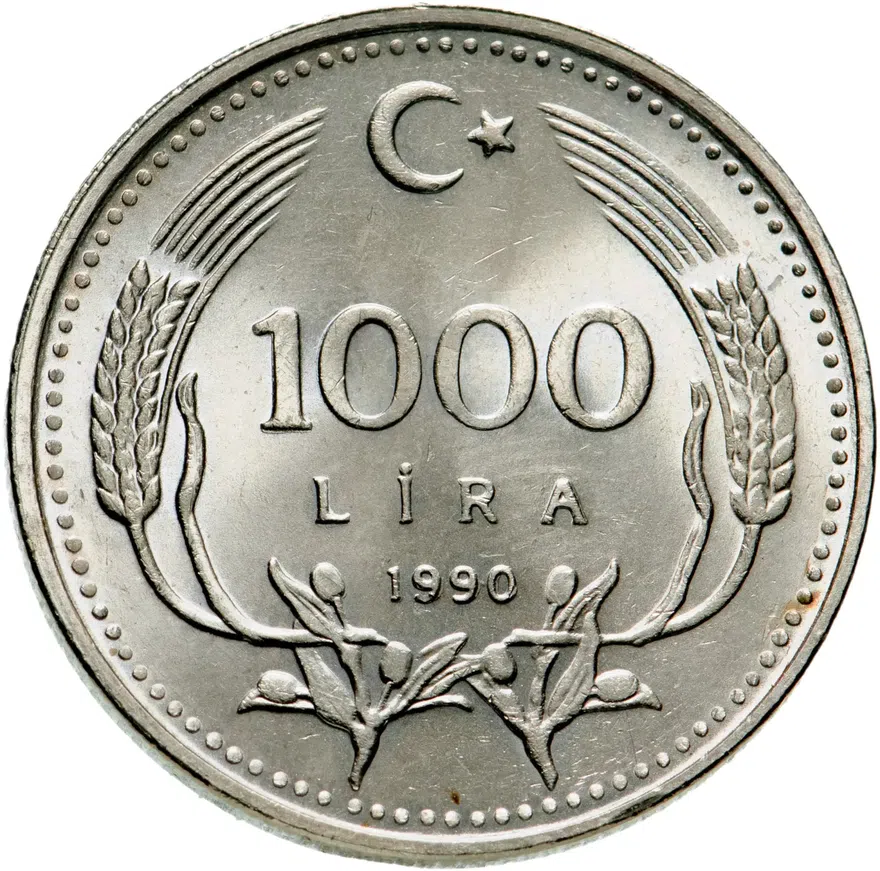 Турция 1000 лир (lira) 1990  Охрана окружающей среды, реверс