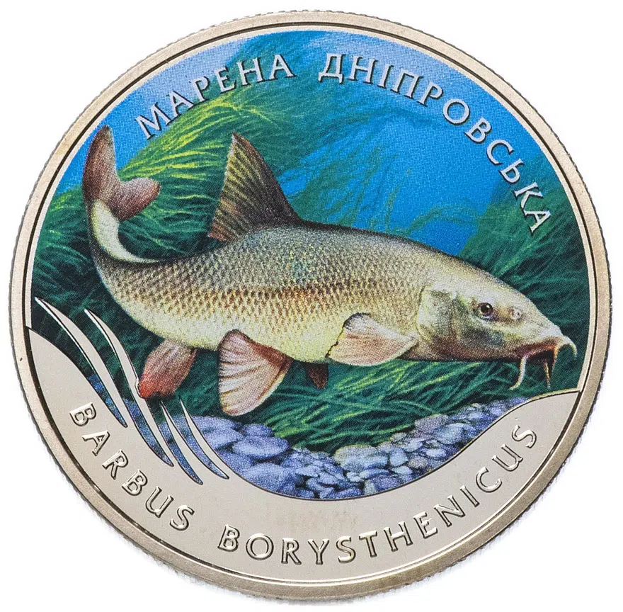 Украина 2 гривны 2018 "Днепровский усач (Barbus borysthenicus)", аверс