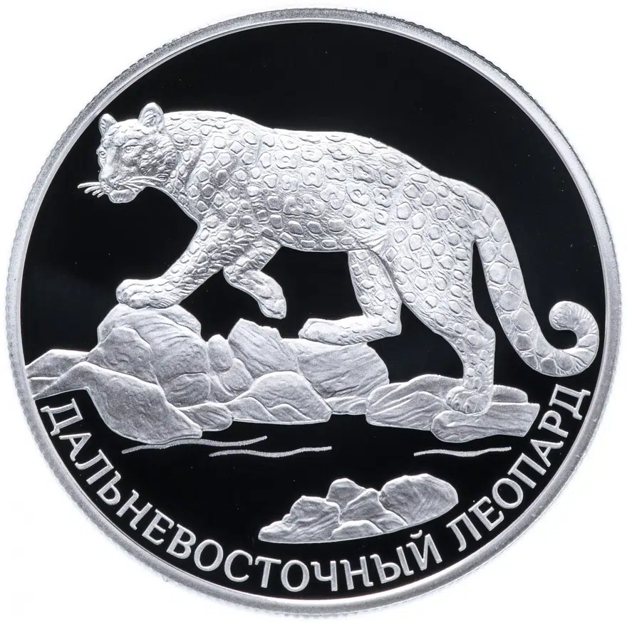2 рубля 2019 СПМД Proof Дальневосточный леопард, реверс
