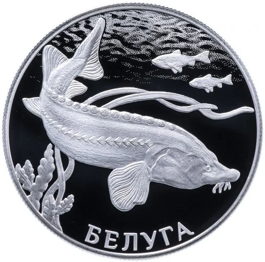 2 рубля 2019 СПМД Proof Белуга, аверс