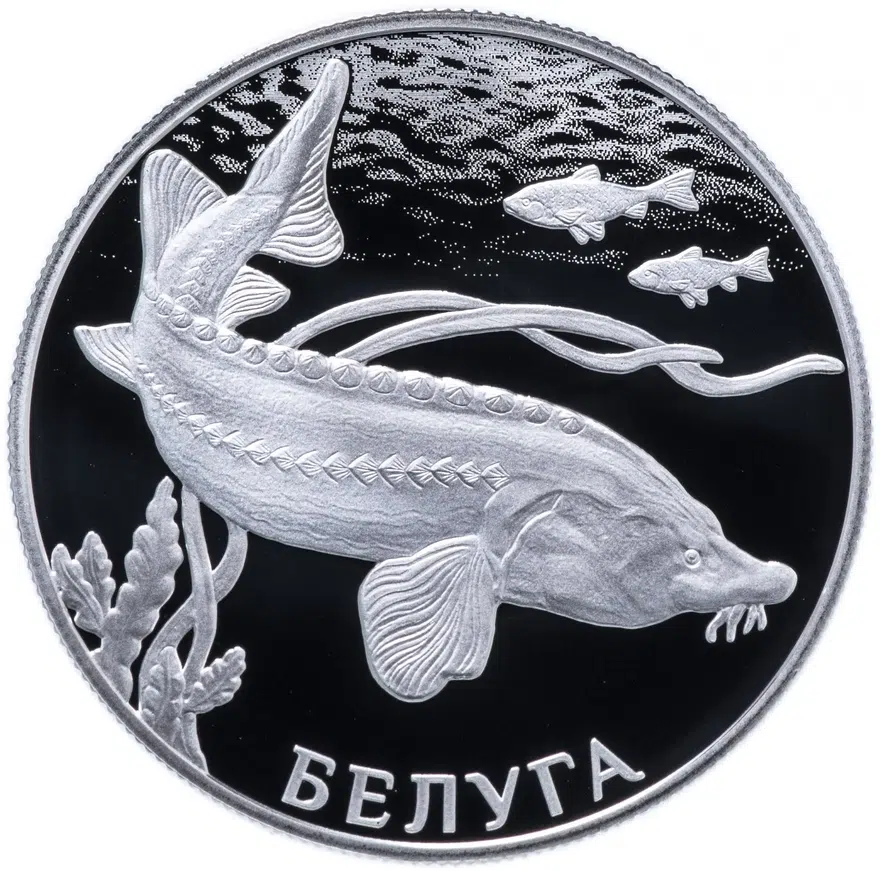 2 рубля 2019 СПМД Proof Белуга, реверс