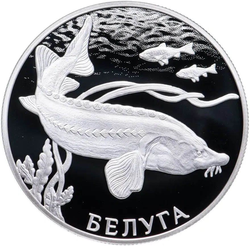 2 рубля 2019 СПМД Белуга, аверс