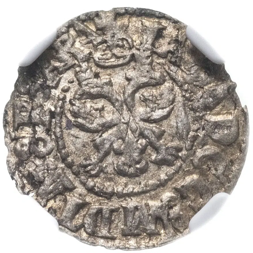 Севский чех 1686 в слабе ННР