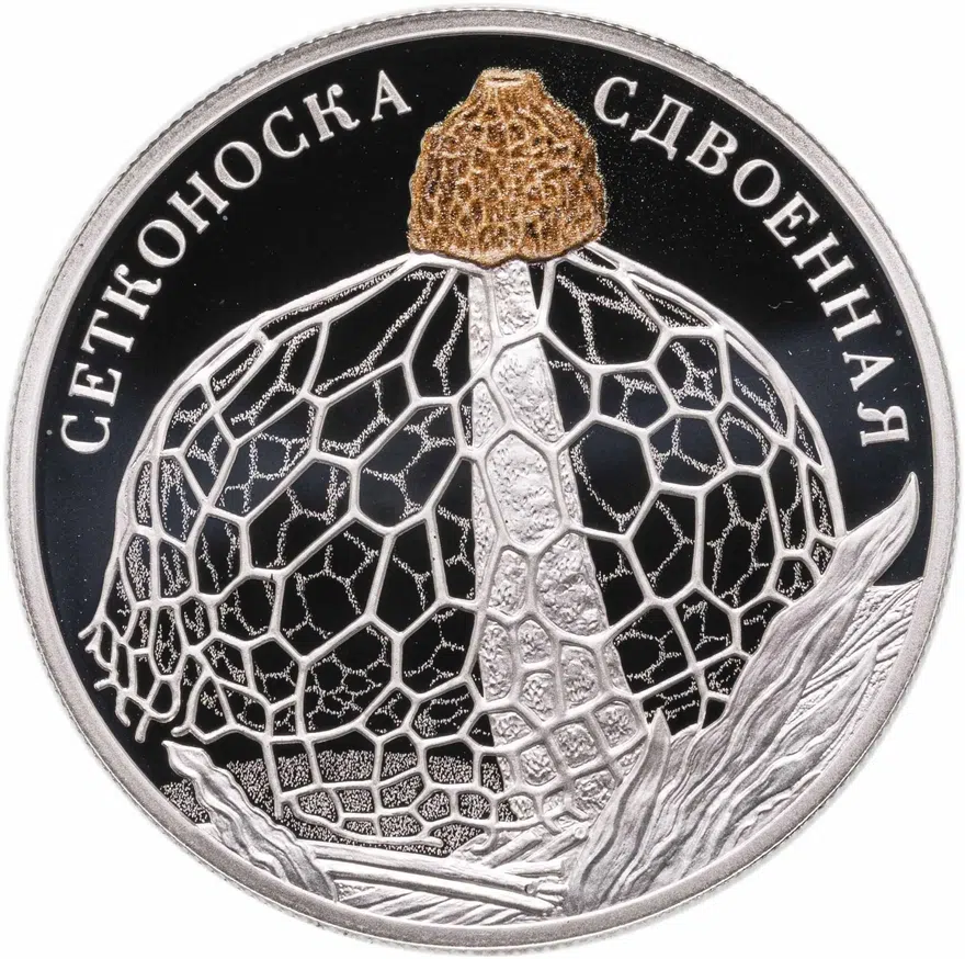 2 рубля 2022 СПМД Сетконоска сдвоенная, аверс