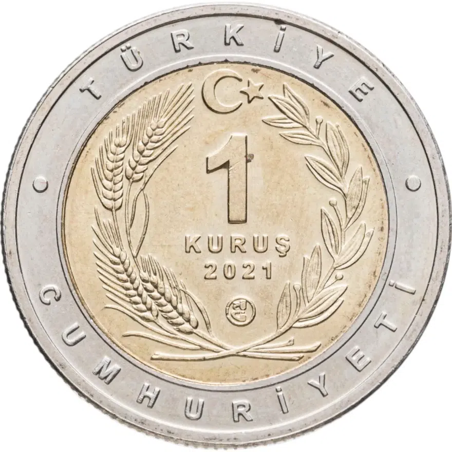 Турция 1 куруш 2021 "Собака чаталбурун (каталбурун)", реверс
