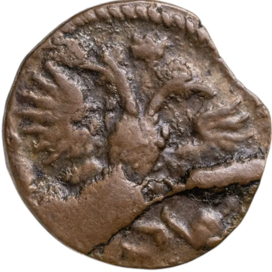 полушка 1720    без обозначения монетного двора, год цифрами, реверс